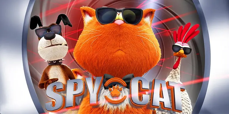 Spy cat