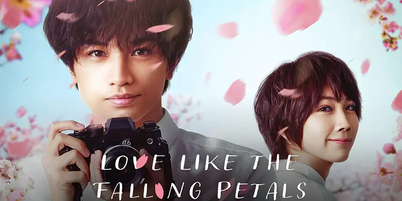 Love like the falling petals (2022)