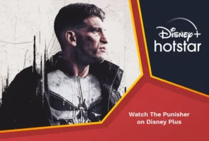 The punisher on disney plus