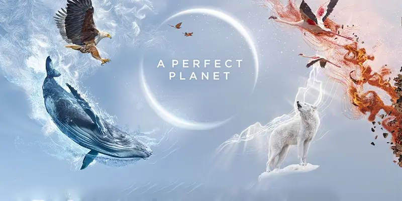 a perfect planet 2021