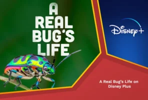 A real bug's life on disney plus